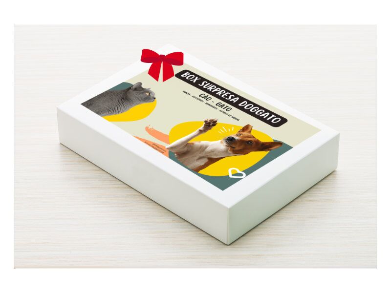 Box Surpresa de Natal para Gato da Doggato