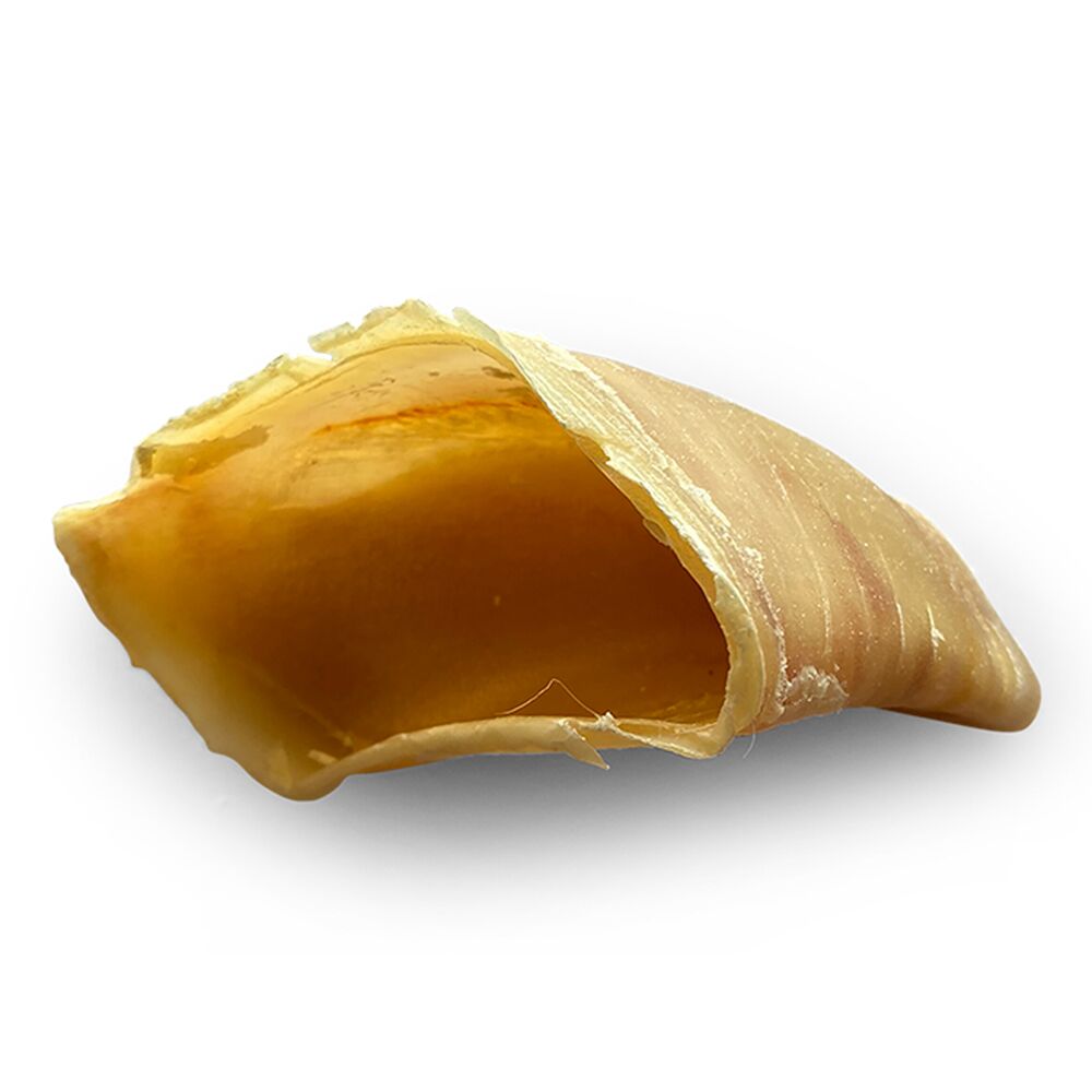 Cascos de Bovino