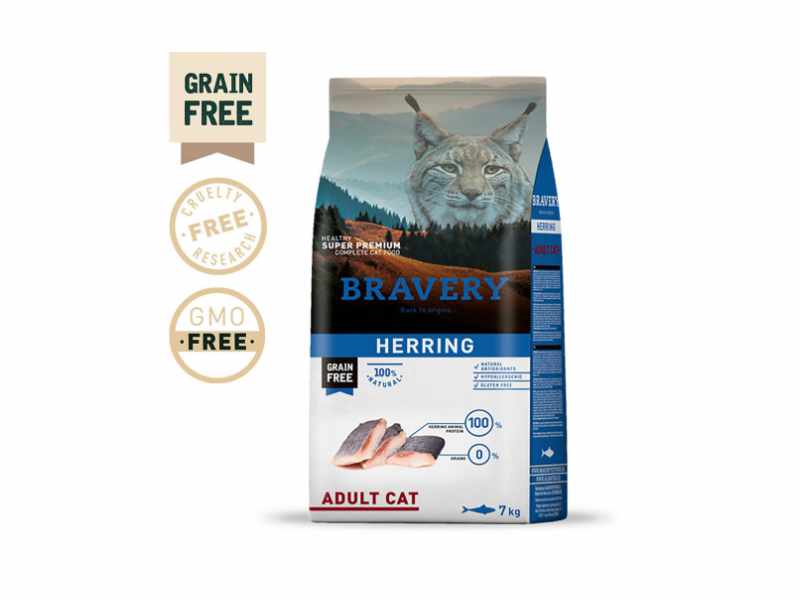 Bravery Cat Herring Adult