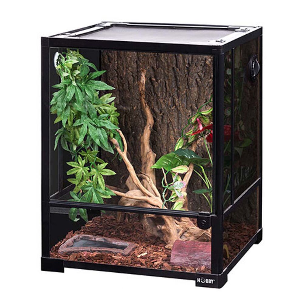 Terrário Terra FIX & EASY