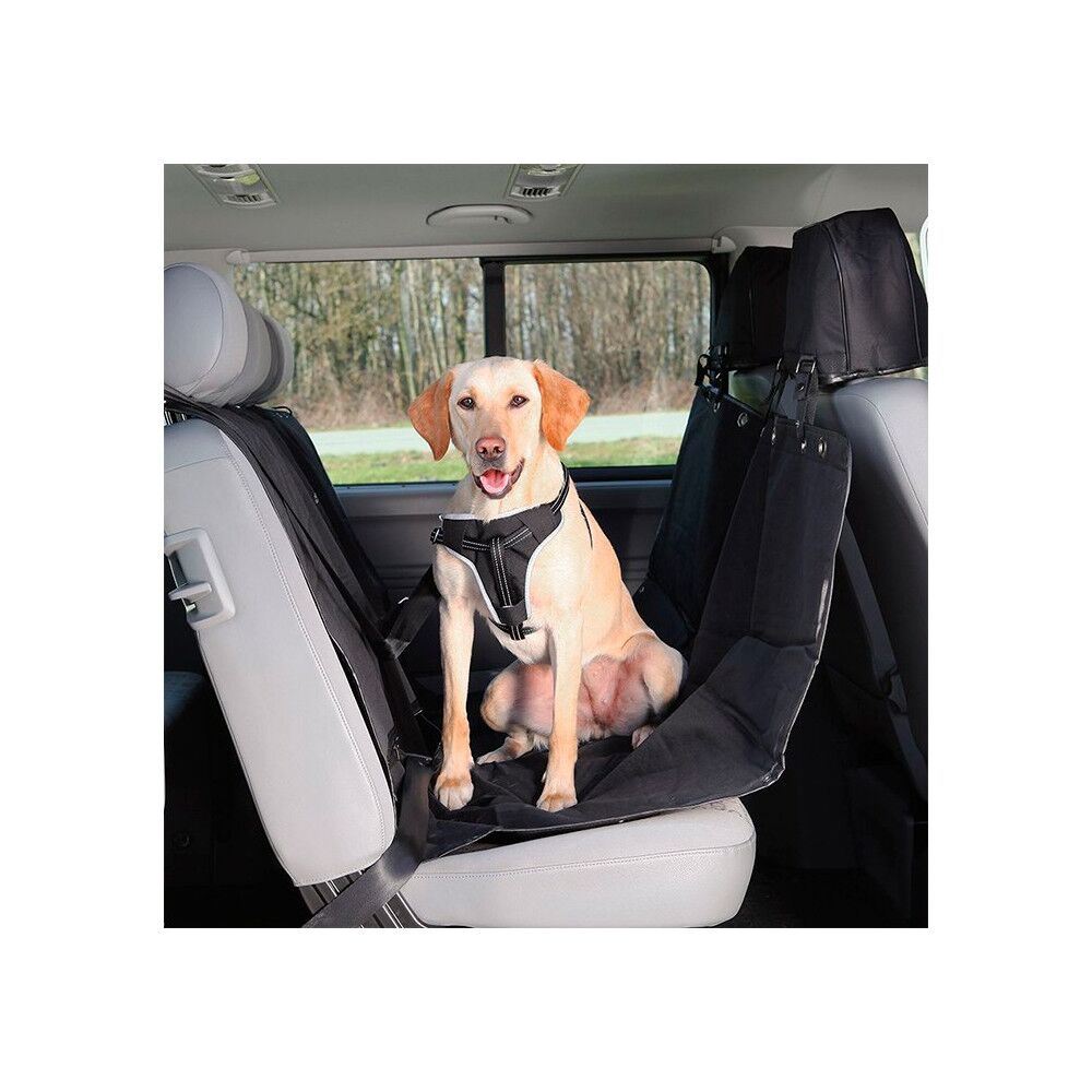 Cobertura para Estofos Automóvel