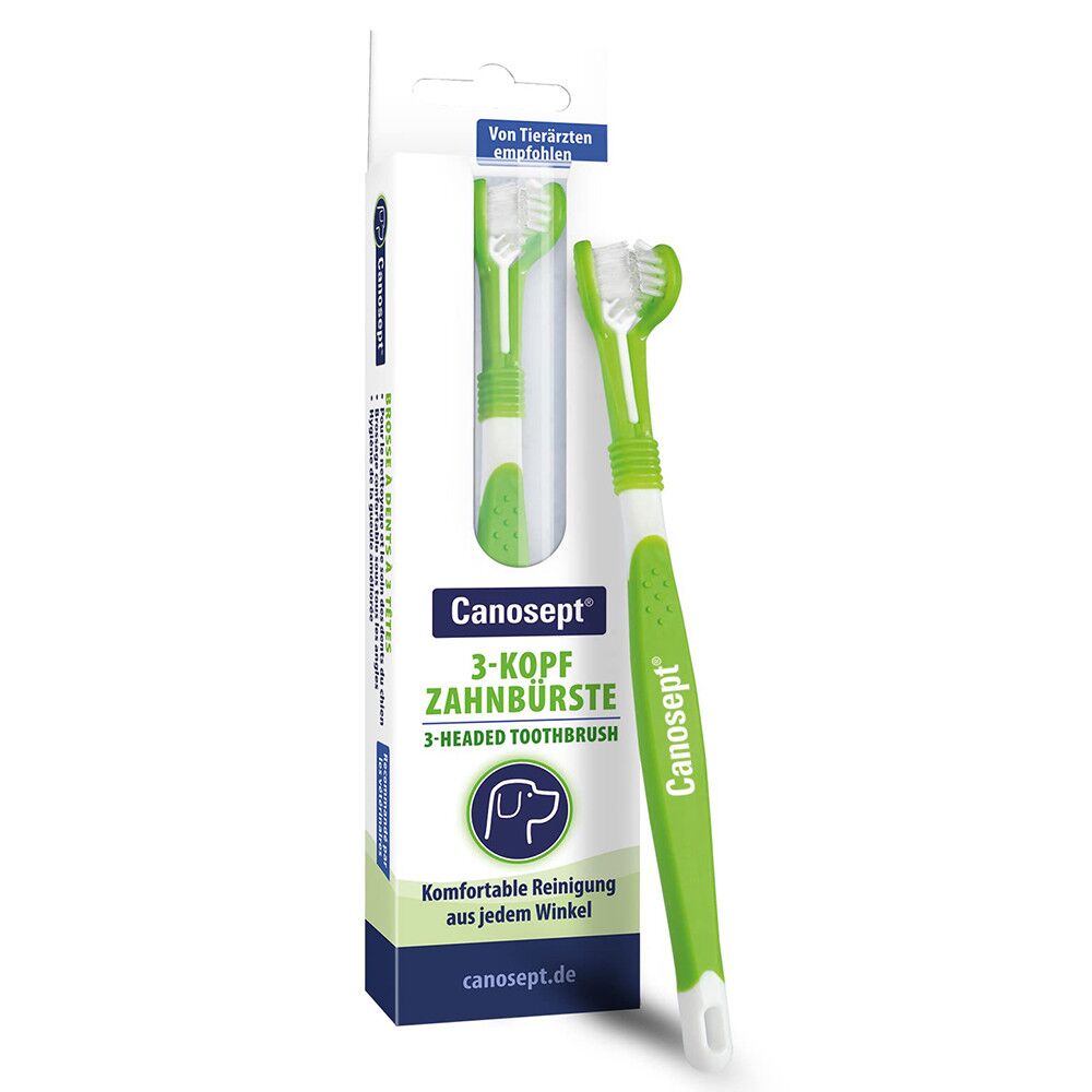 Escova de dentes tripla para cães - Canosept
