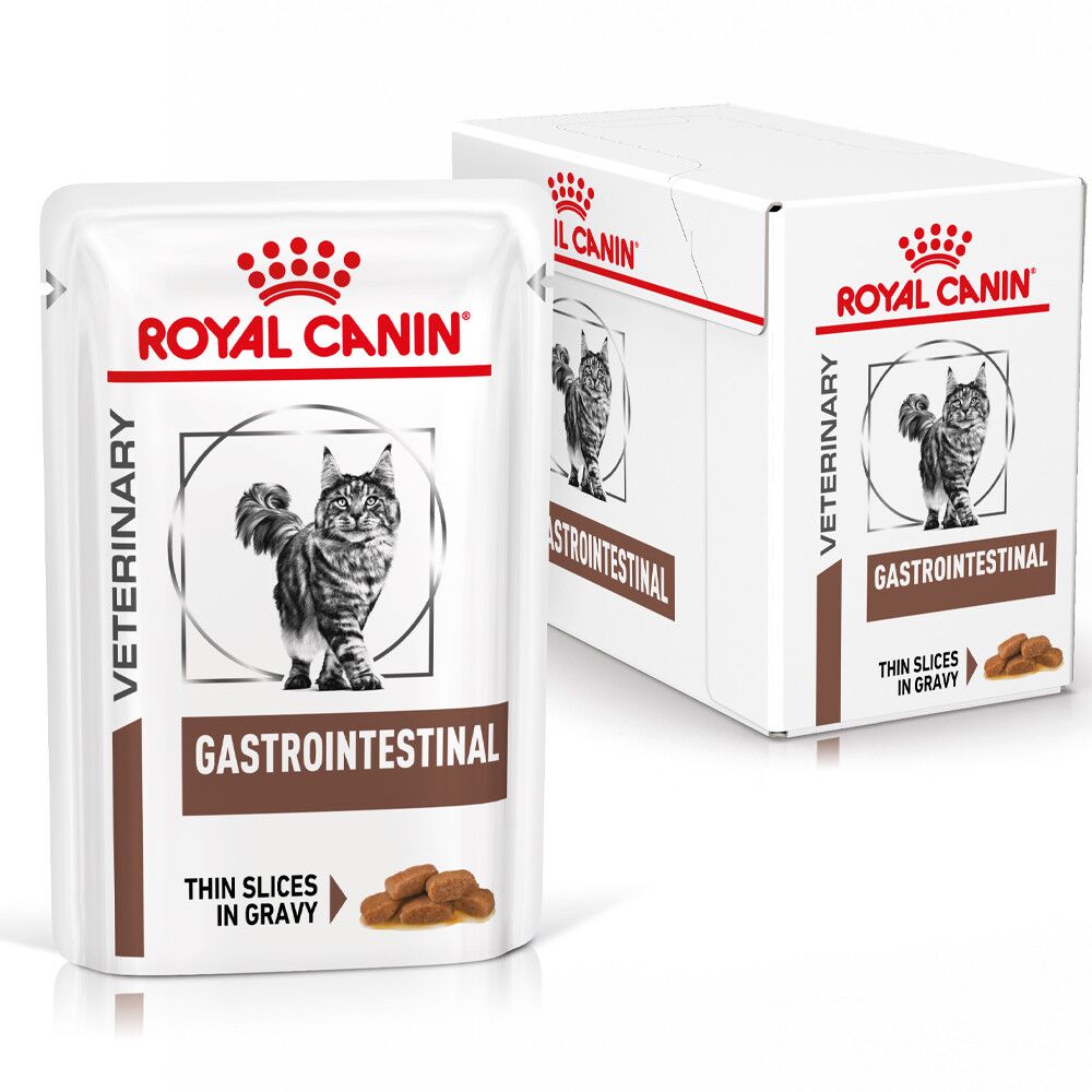 Royal Canin VET Gastrointestinal - Gato