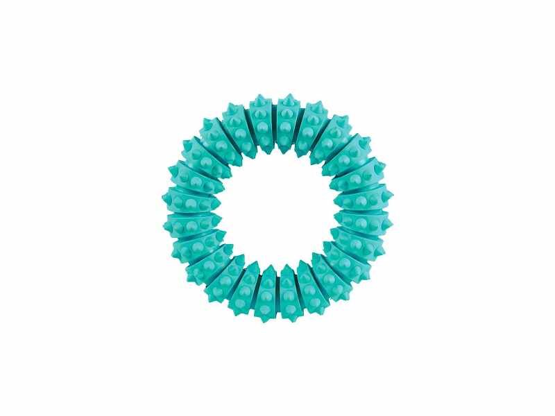 Dentafun - Argola com Sabor a Menta da Trixie