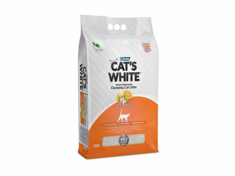 Cat's White Orange