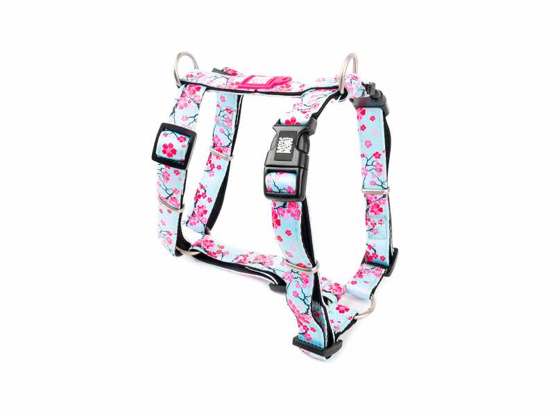 Max & Molly - Peitoral Cherry Bloom para cão