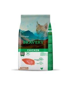 Bravery Chicken Kitten