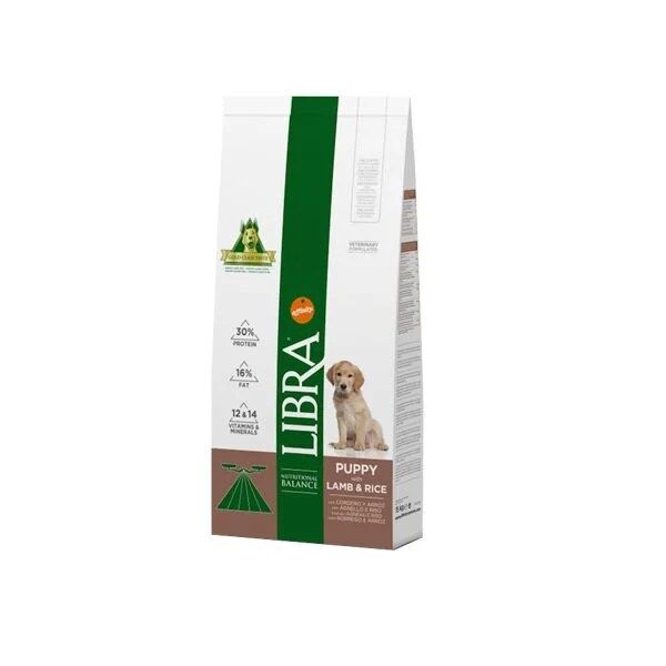 Libra Dog Puppy Borrego