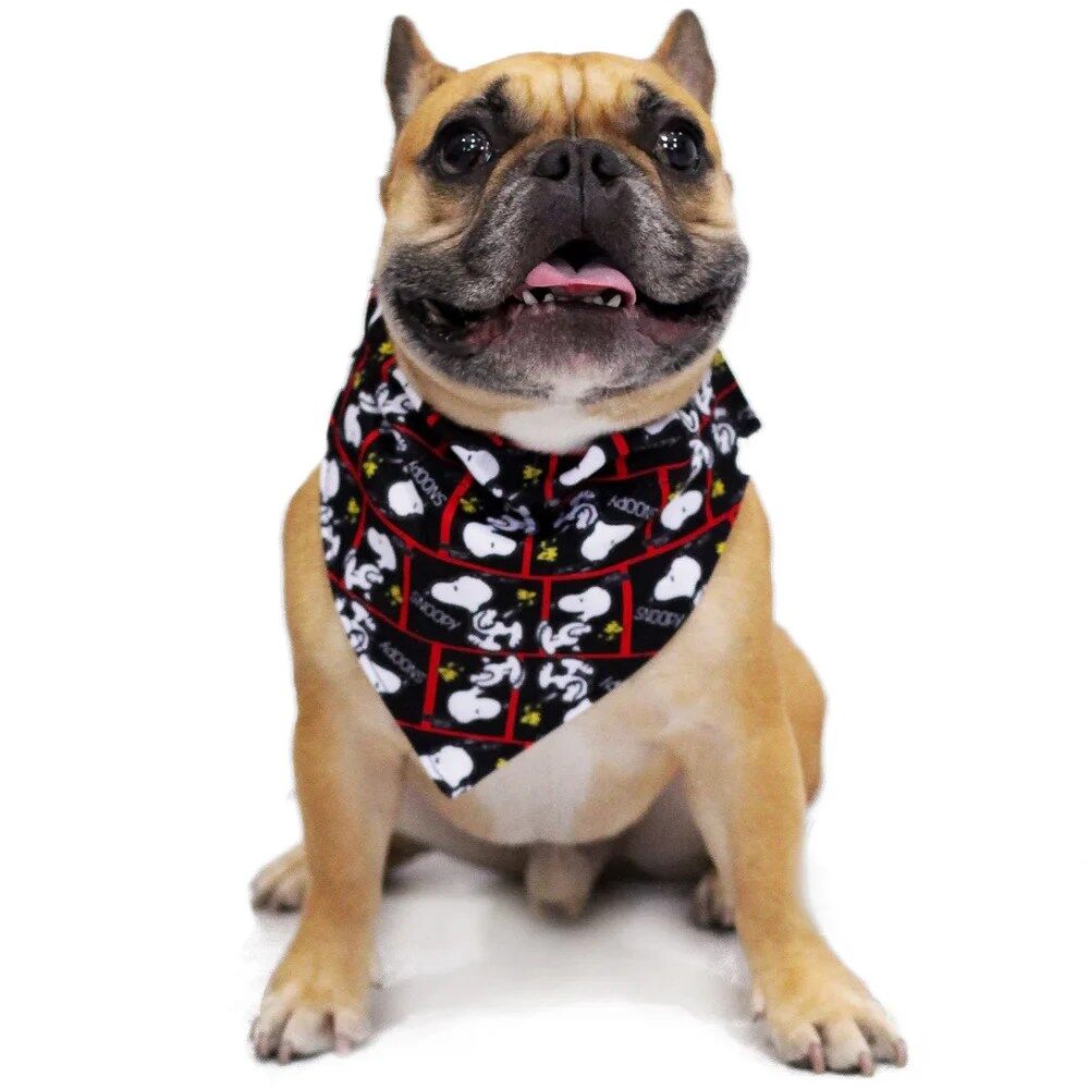 Bandana Snoopy (Preto - Frames) - Image 2