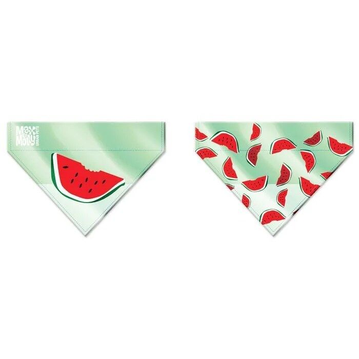 Max & Molly - Bandana Watermelon