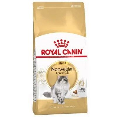Royal Canin Feline Bosque da Noruega