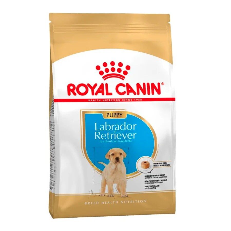 Royal Canin Dog Labrador Retriever Puppy