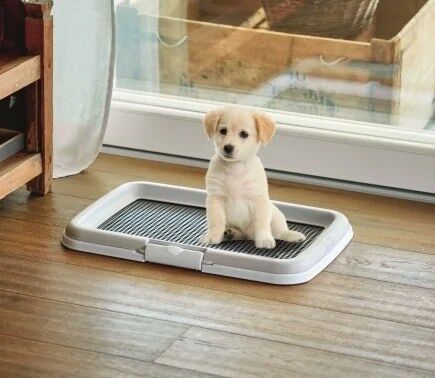 Bandeja Sanitária "Puppy Training" 60X40 Cm - Image 2