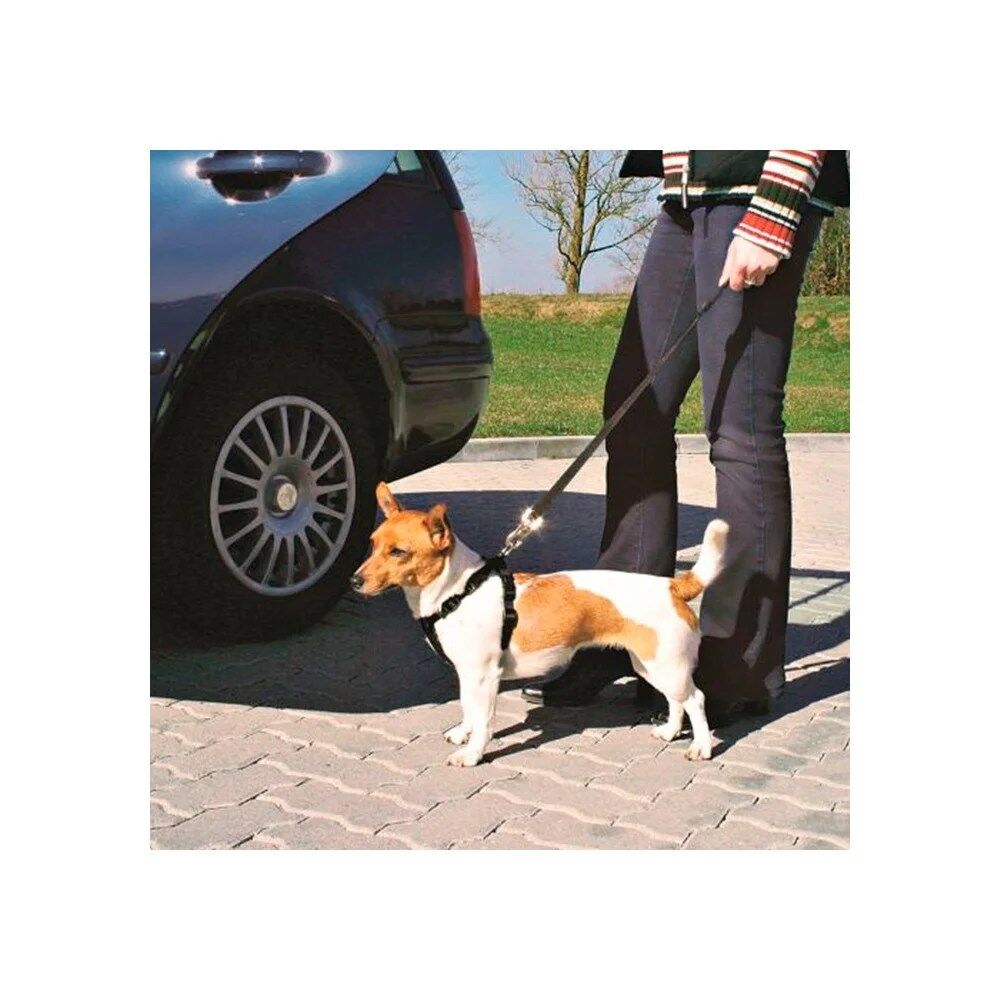 Cinto De Segurança para Cães - Image 2