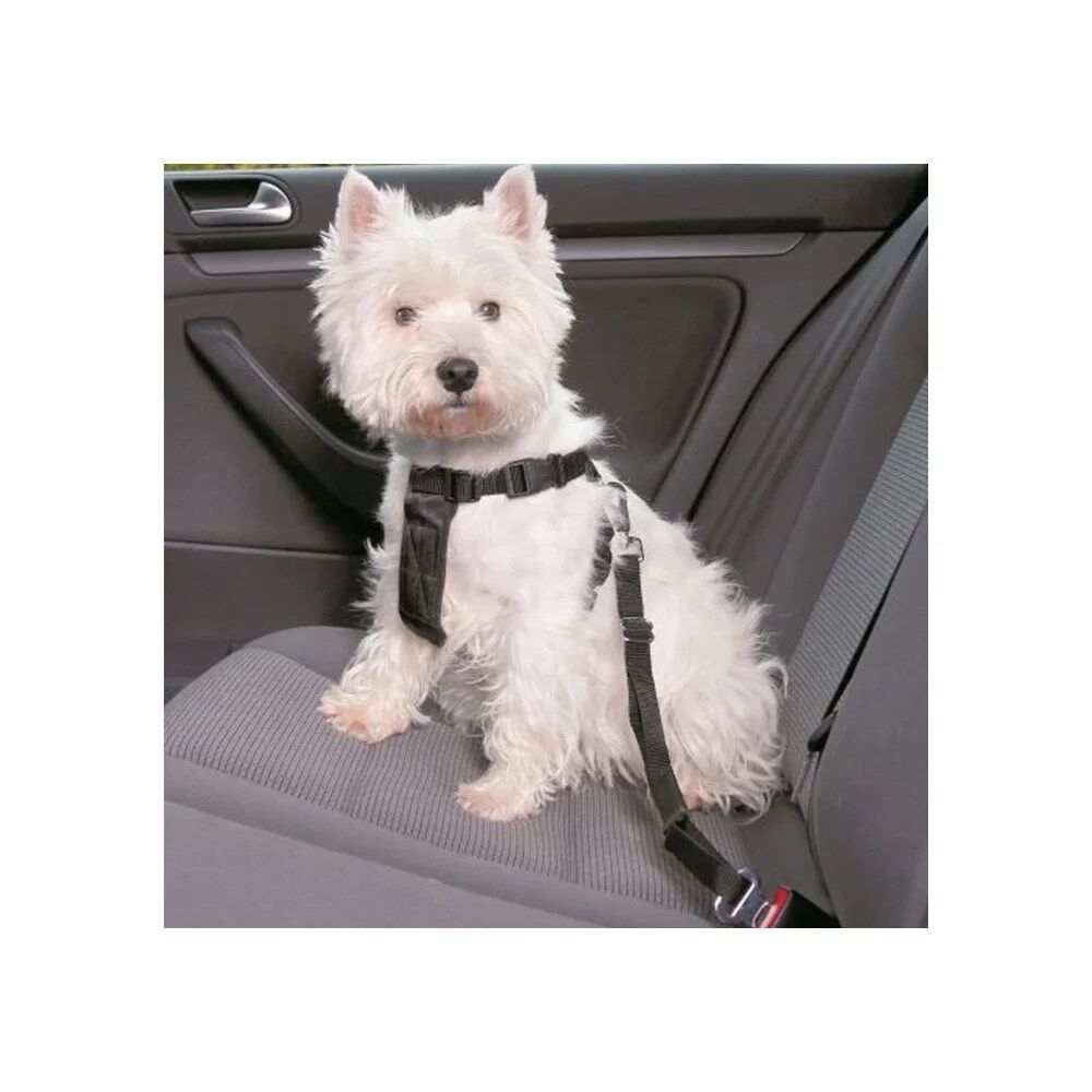 Cinto De Segurança para Cães