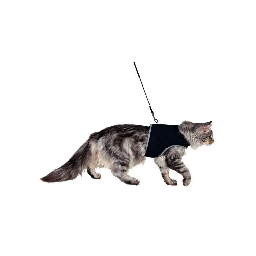 Peitoral e Trela XCAT em nylon para gato - Image 2