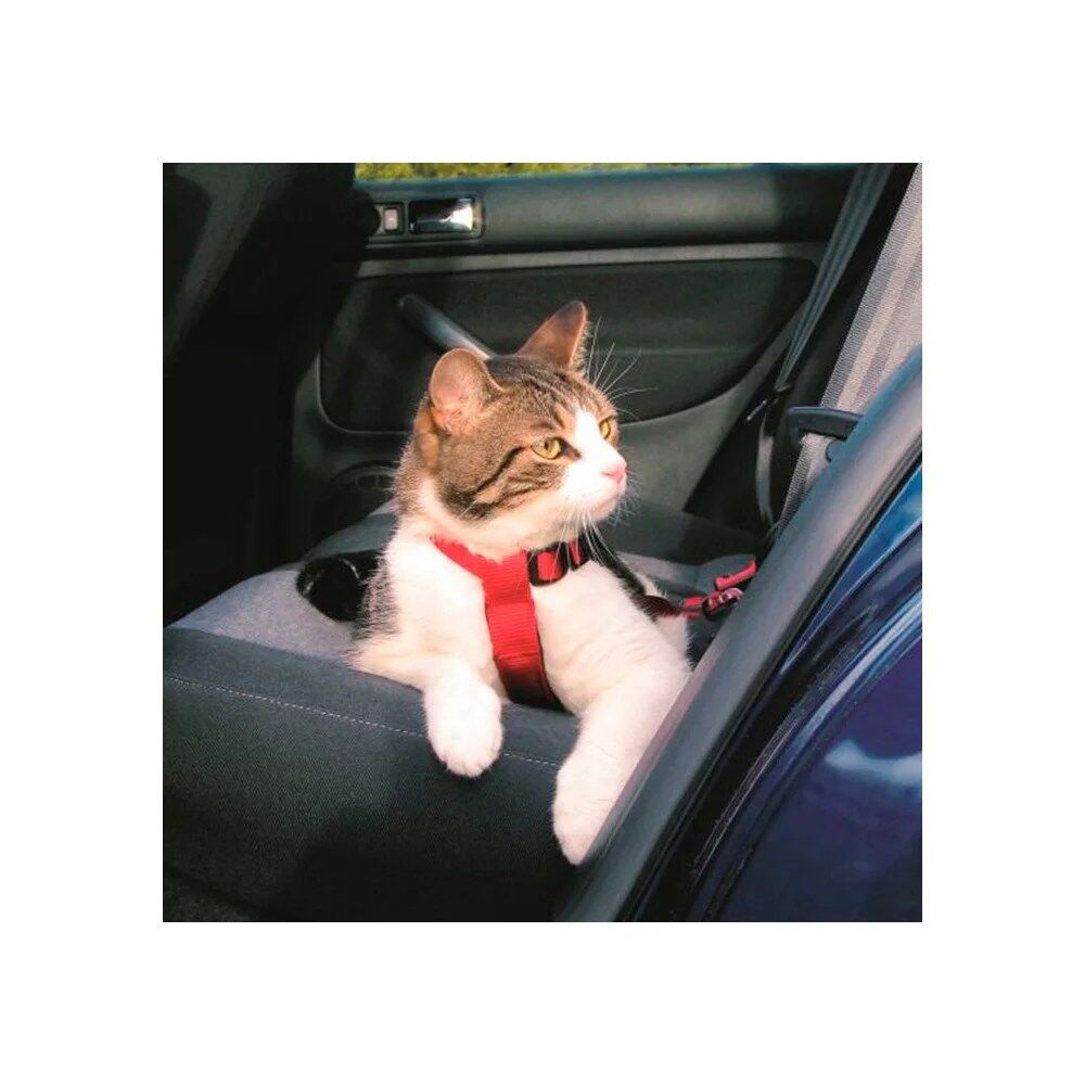 Cinto de segurança para gatos - Trixie - Image 3