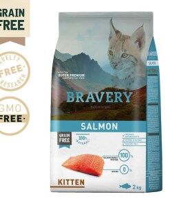 Bravery Gato Salmão Kitten