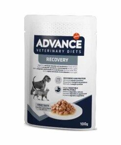 Advance VET Recovery - Alimento húmido para cão e gato