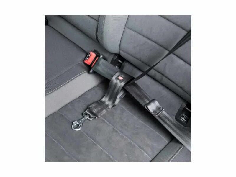 Trela curta universal para viatura da Trixie - Image 2