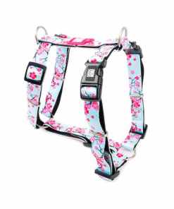 Max & Molly - Peitoral Cherry Bloom para cão