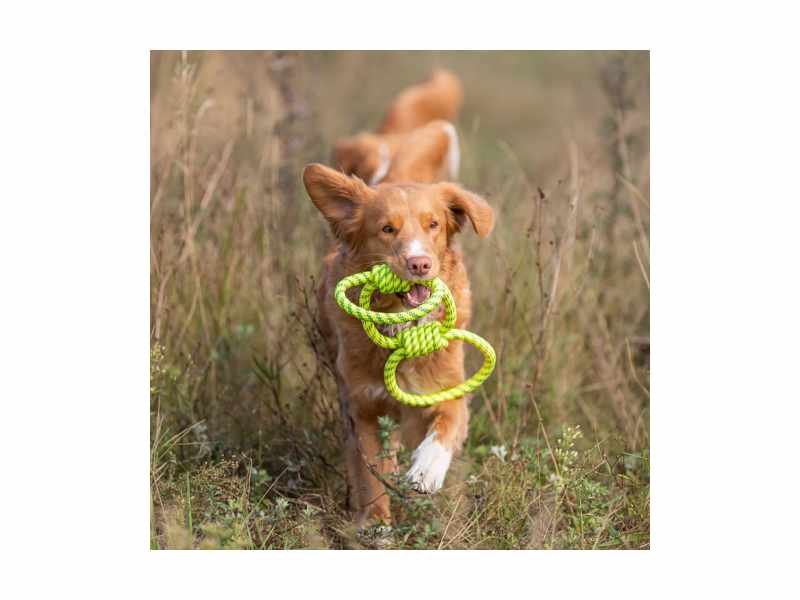 Corda para tração aqua toy - Trixie - Image 2