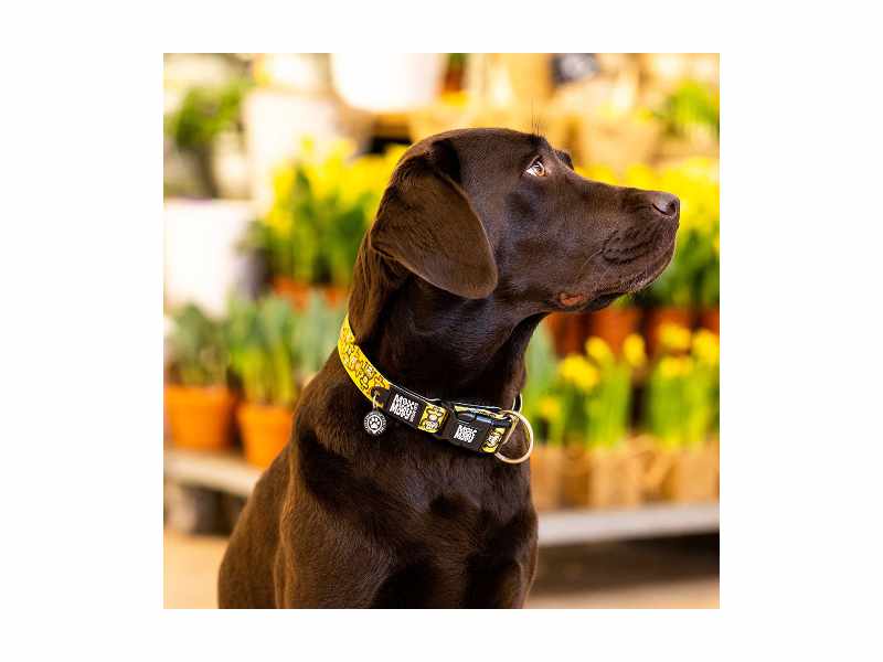 Max & Molly - Coleira com Id Tag Monkey Maniac para cão - Image 2