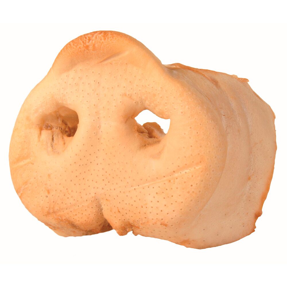 Focinho de Porco Dessecado