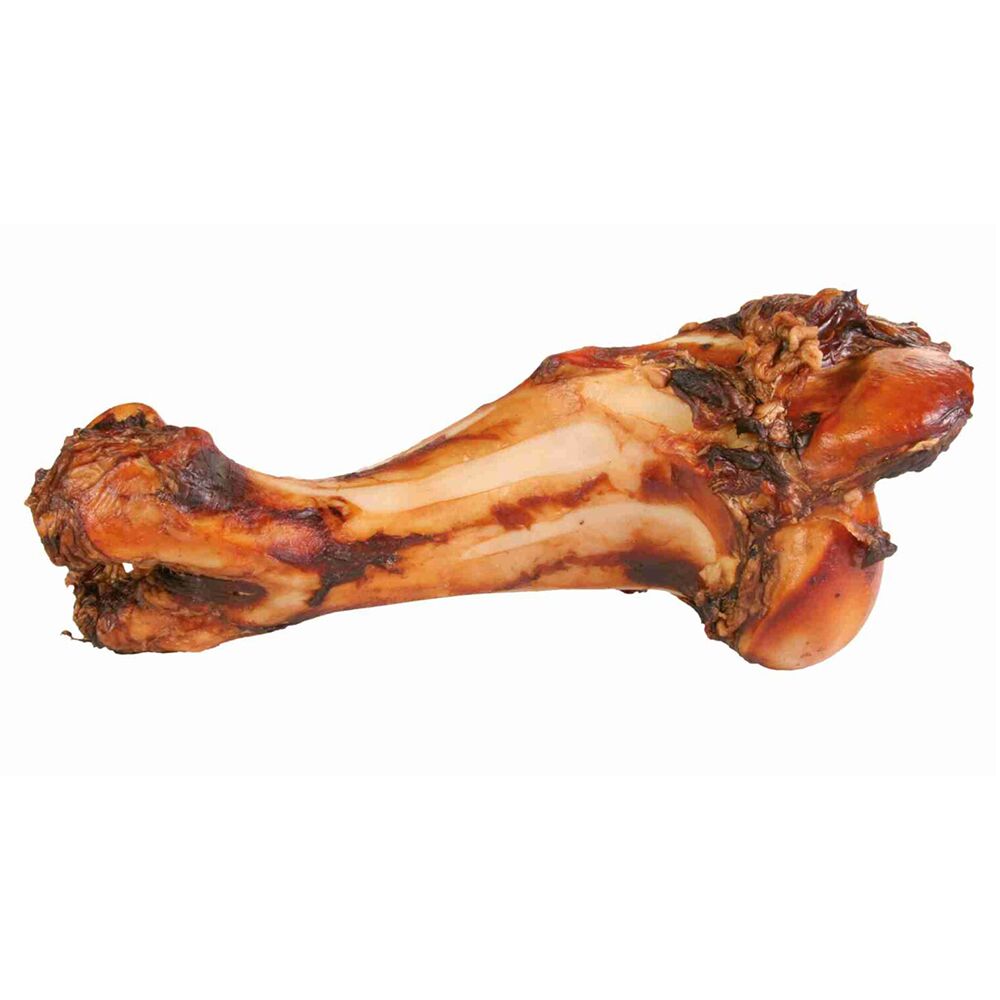 Ossos Jurássicos Fumados