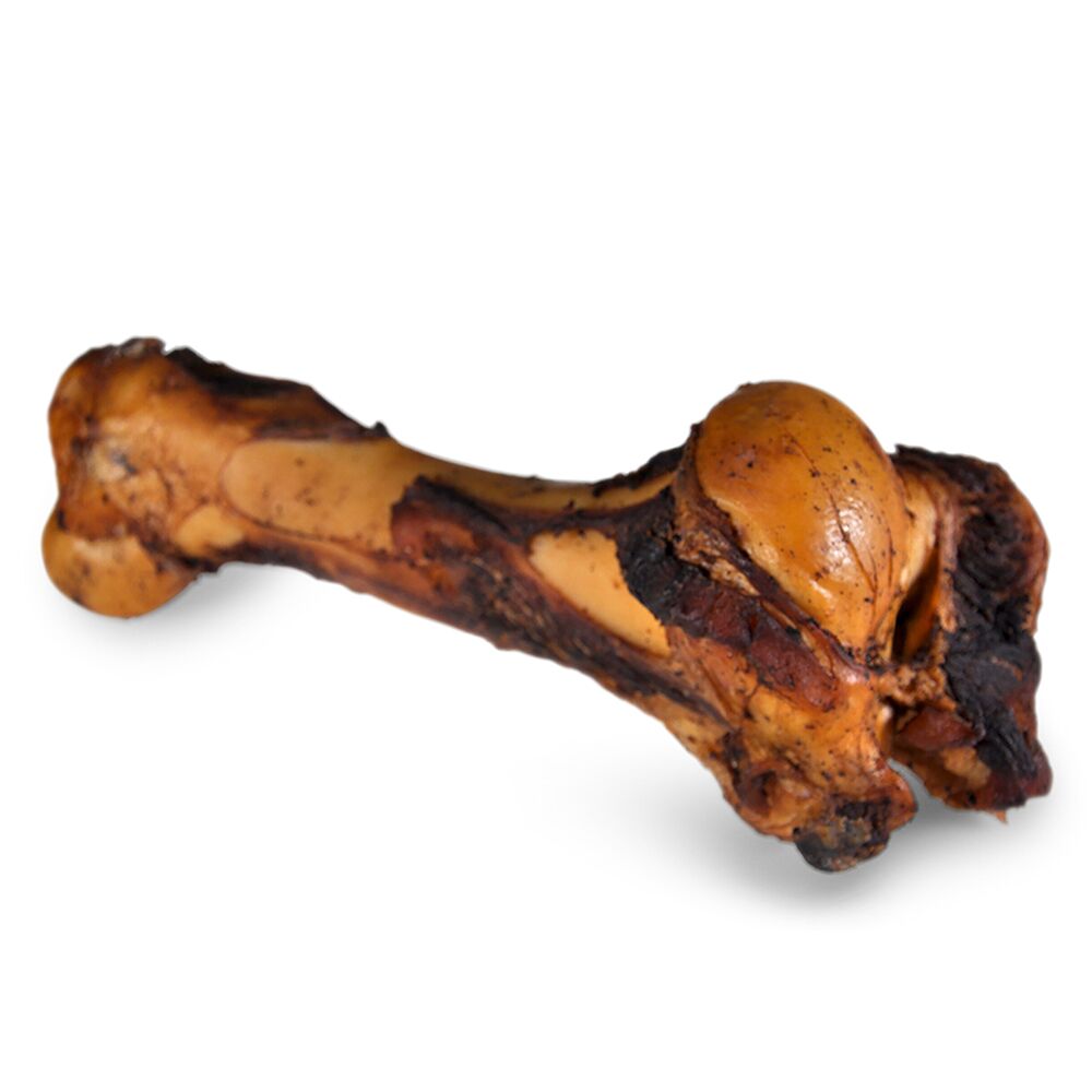 Osso Jurássico Fumado Jumbo