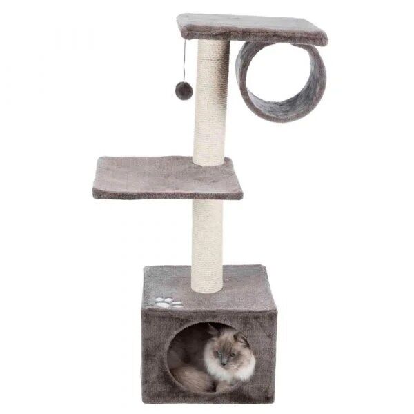 Trepador " San Fernando"