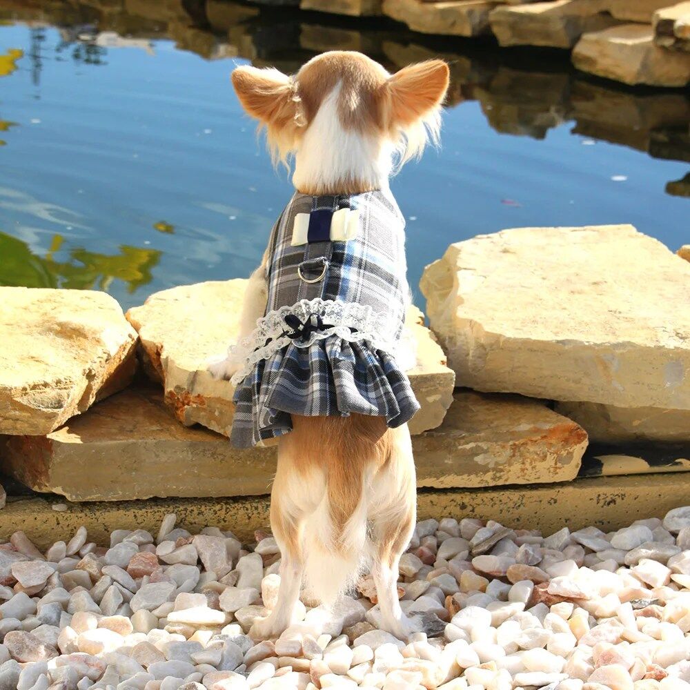 Vestido Peitoral "Blue Chess" - Be Trendy - Image 2