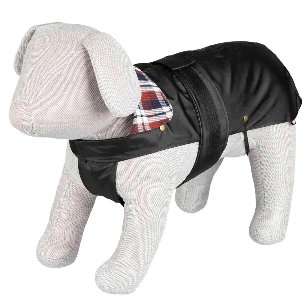 Capa "Paris" Para Dog (Preto)