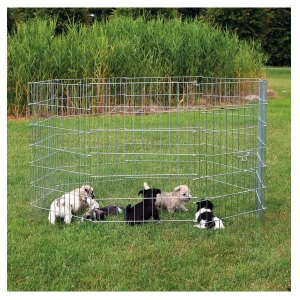 Recinto Galvanizado Com Porta Para Cachorros