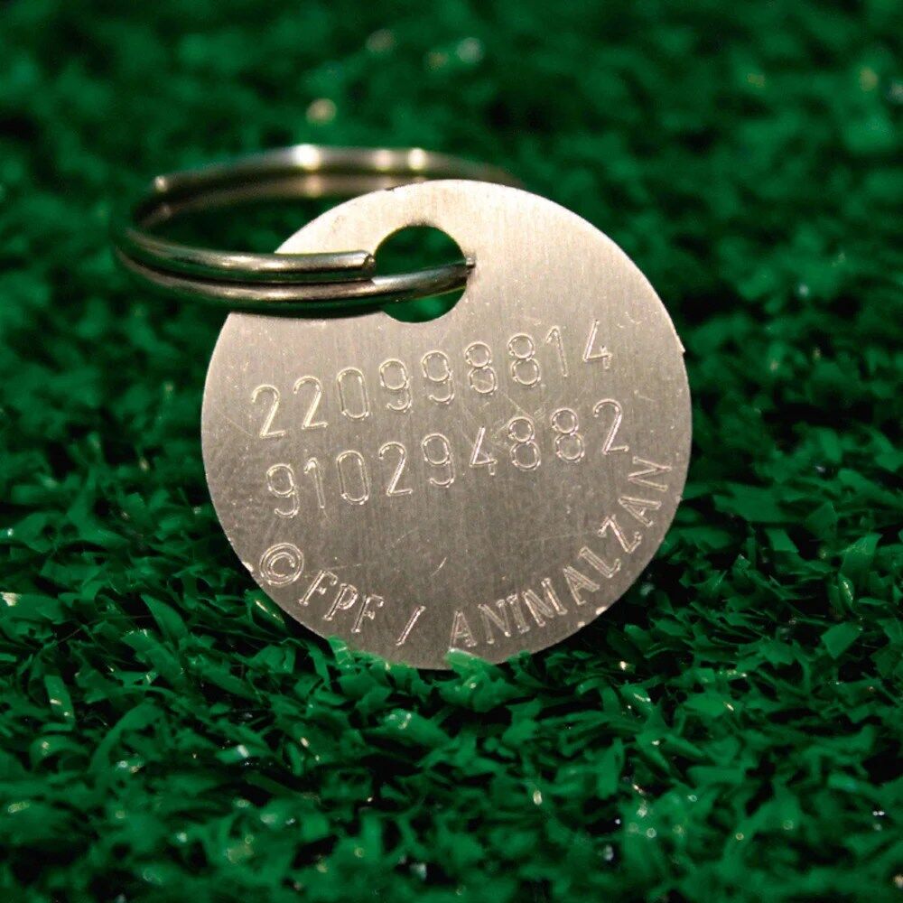 Medalha de Identificação Oficial FPF Portugal