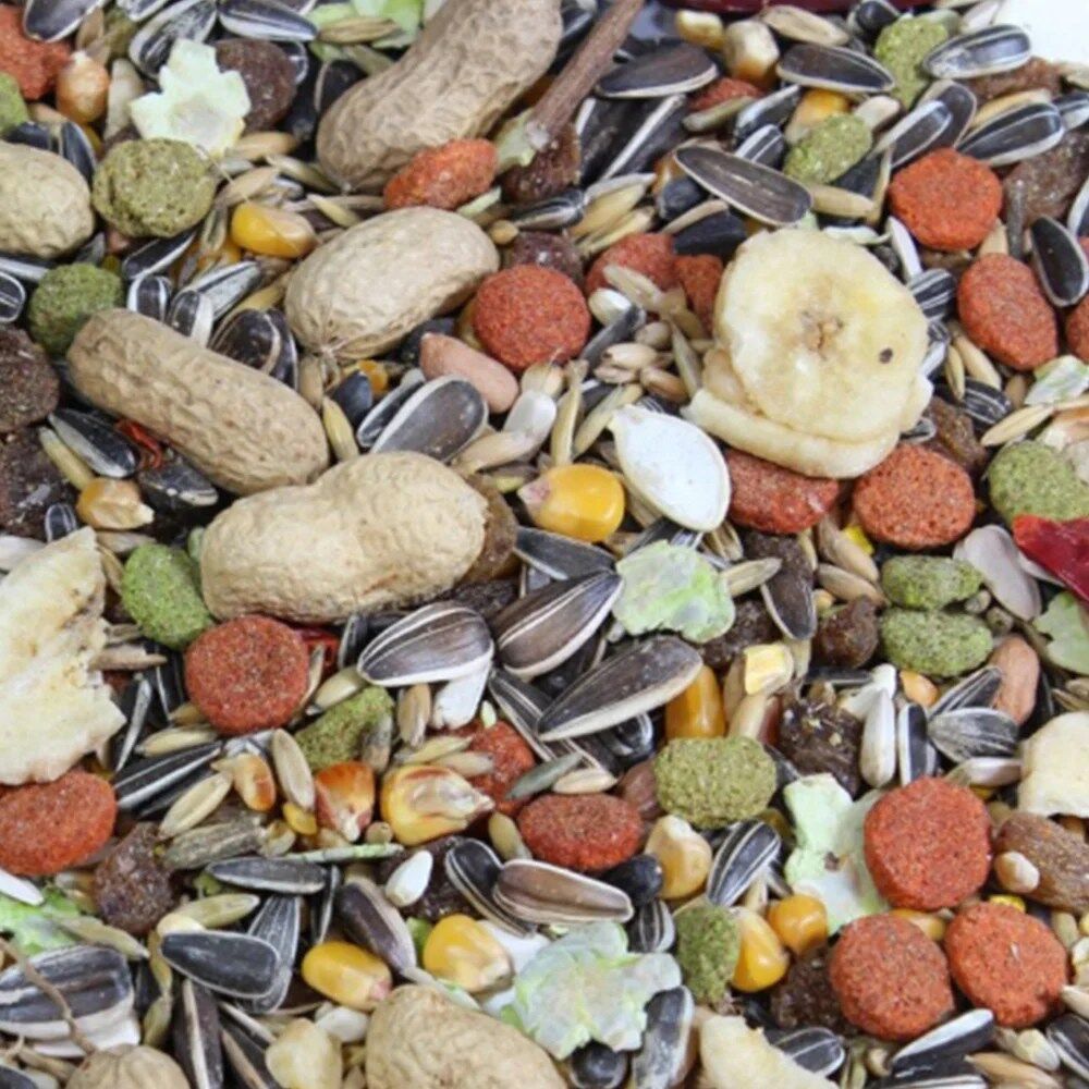 Mixer Mistura para Papagaios - Image 2