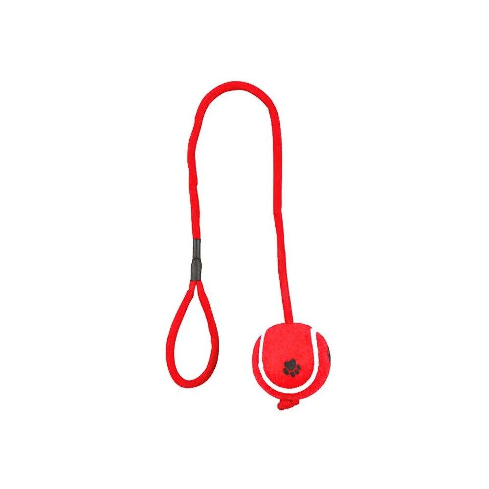 Bola de Tenis com Corda