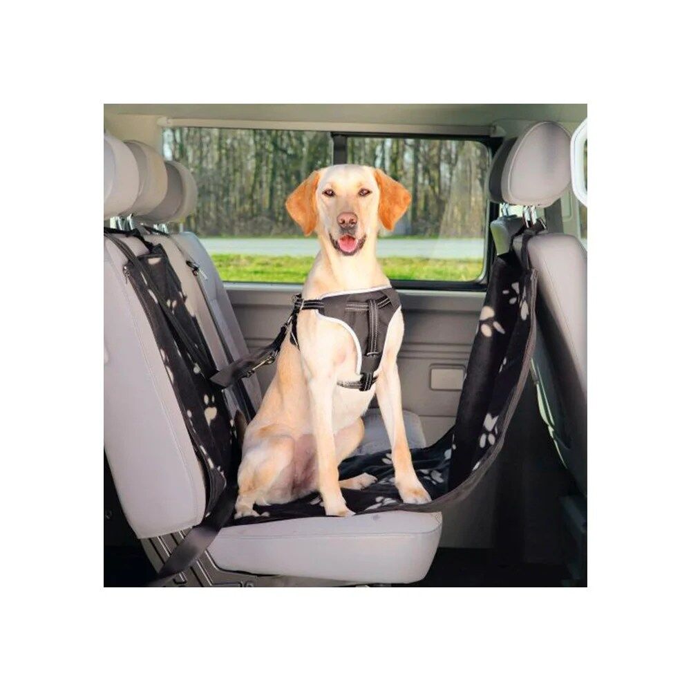 Cobertura Banco Automóvel