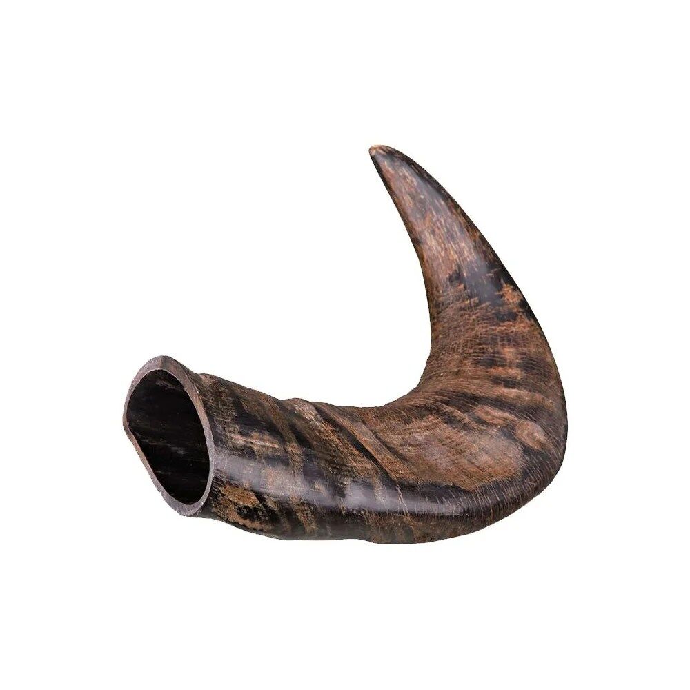 Corno de Búfalo para Mascar - Image 2