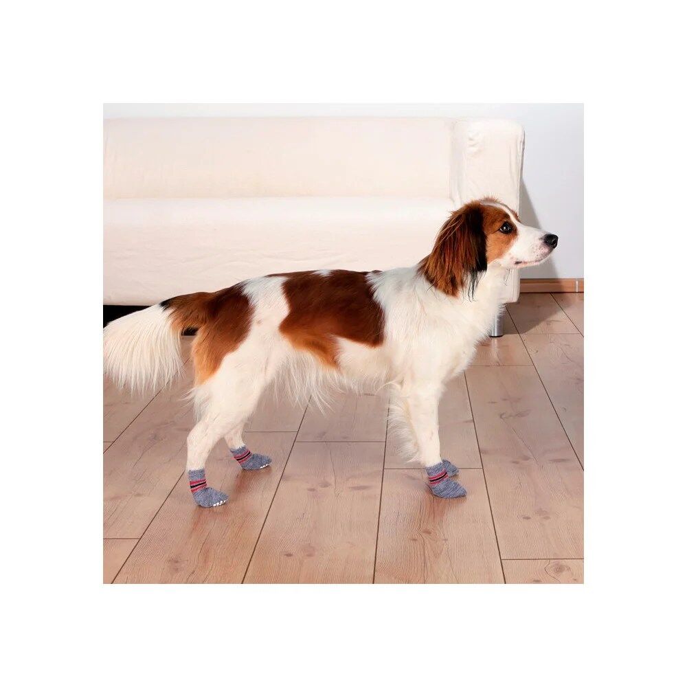 Meias para cão antiderrapante da Trixie - Image 2