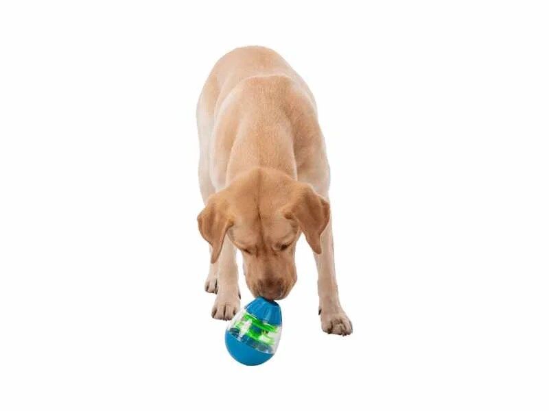 Ovo Roly Poly para snacks da Trixie - Image 2