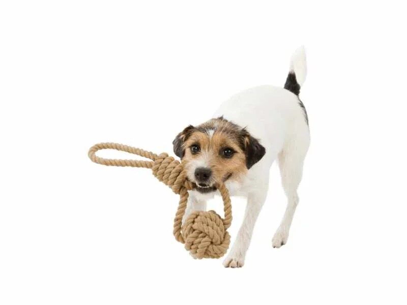 Corda com bola Be Nordic da Trixie - Image 2