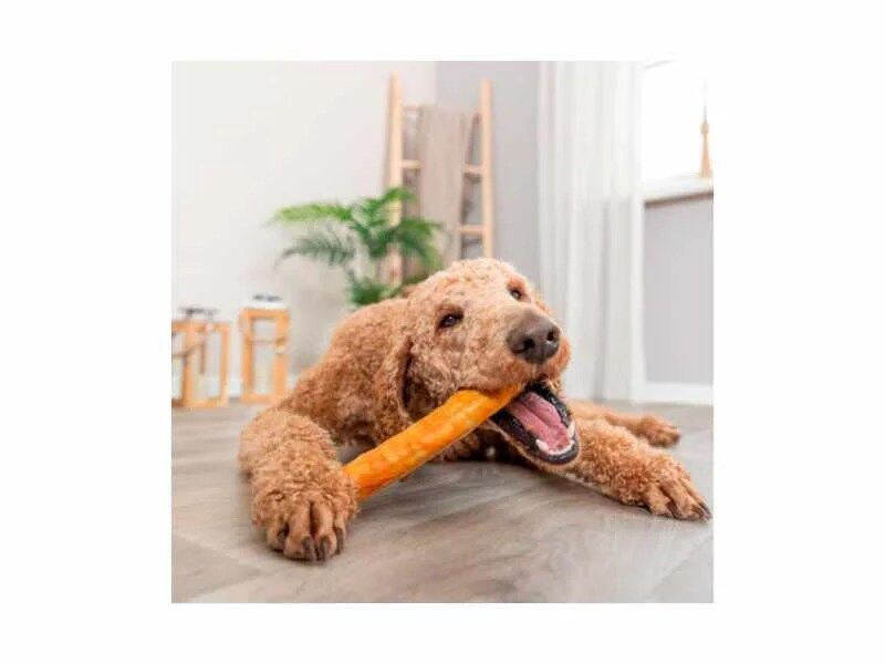 Dentafun Roll - Colagénio com Frango da Trixie - Image 2