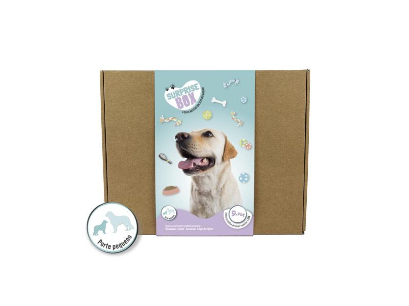Box Surpresa para Cão